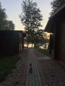 Iš anksto susitarus priimame svečius su gyvūnais