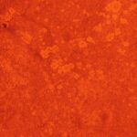 Bright red abstract textured surface ideal for creative designs.